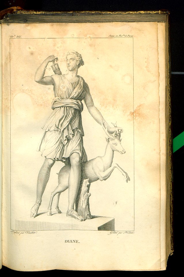 Galerie du Musee Napoleon. T. 6 1809 (30959293)