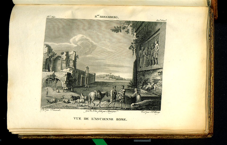 Galerie du Musee Napoleon. T. 9 1813 (31138839)