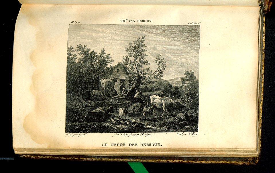 Galerie du Musee Napoleon. T. 10 1815 (31223500)