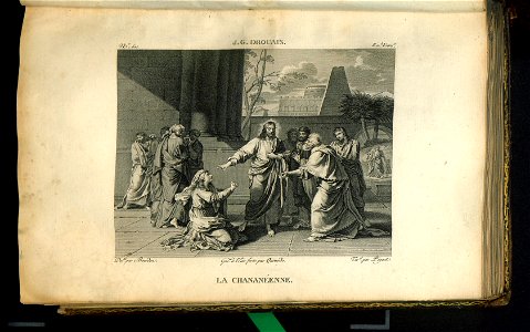 Galerie du Musee Napoleon. T. 8 1812 (31078750)