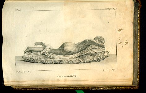 Galerie du Musee Napoleon. T. 7 (31005961)