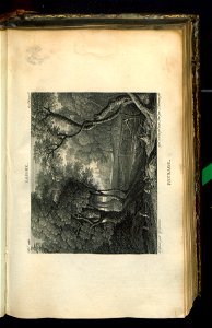 Galerie du Musee Napoleon. T. 4 1807 (30921191)