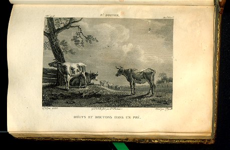 Galerie du Musee Napoleon. T. 7 (31006412)