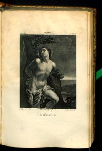 Galerie du Musee Napoleon. T. 7 (31006182)