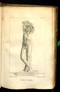 Galerie du Musee Napoleon. T. 7 (31006453)