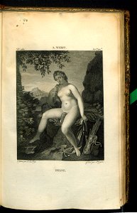 Galerie du Musee Napoleon. T. 7 (31006665)
