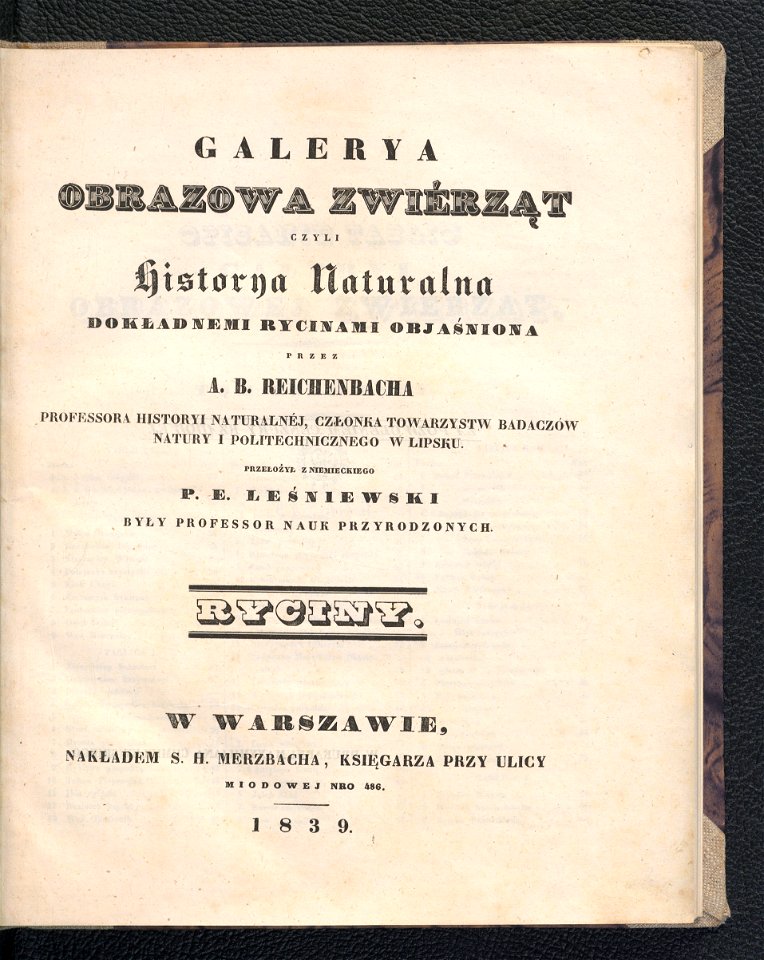 Galerya obrazowa zwierzat 1839 (105875371)