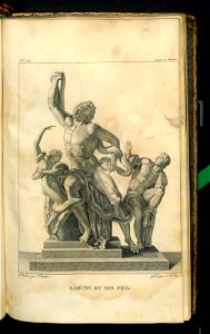 Galerie du Musee Napoleon. T. 10 1815 (31223772)