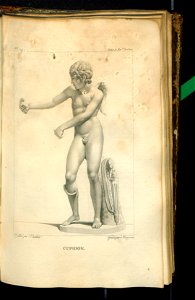 Galerie du Musee Napoleon. T. 5 1808 (30958088)