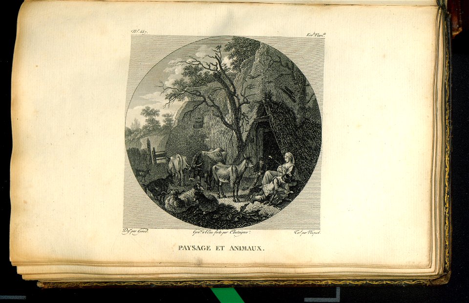 Galerie du Musee Napoleon. T. 8 1812 (31079262)
