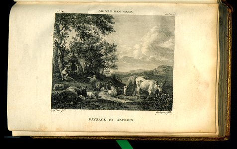 Galerie du Musee Napoleon. T. 9 1813 (31138093)