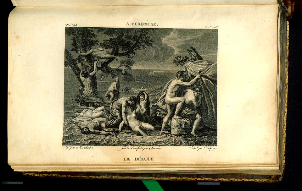 Galerie du Musee Napoleon. T. 10 1815 (31223075)