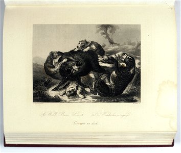 Galerya Drezdenska - zbior rycin T. 1-4 1850-1852 (274621)