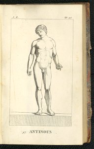 Galeries des antiques 1803 (134527108)