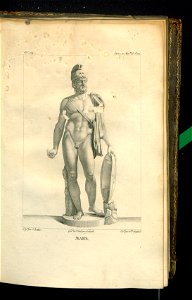 Galerie du Musee Napoleon. T. 2 1804 (30877192)