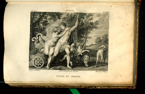 Galerie du Musee Napoleon. T. 7 (31006249)