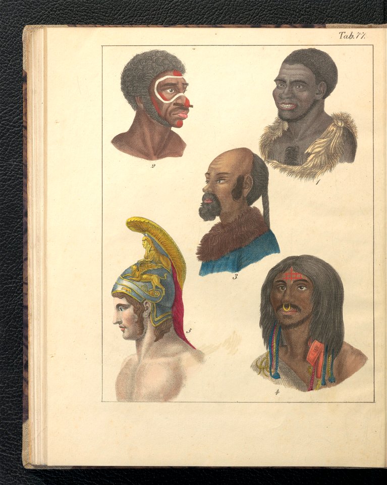 Galerya obrazowa zwierzat 1839 (105543538)