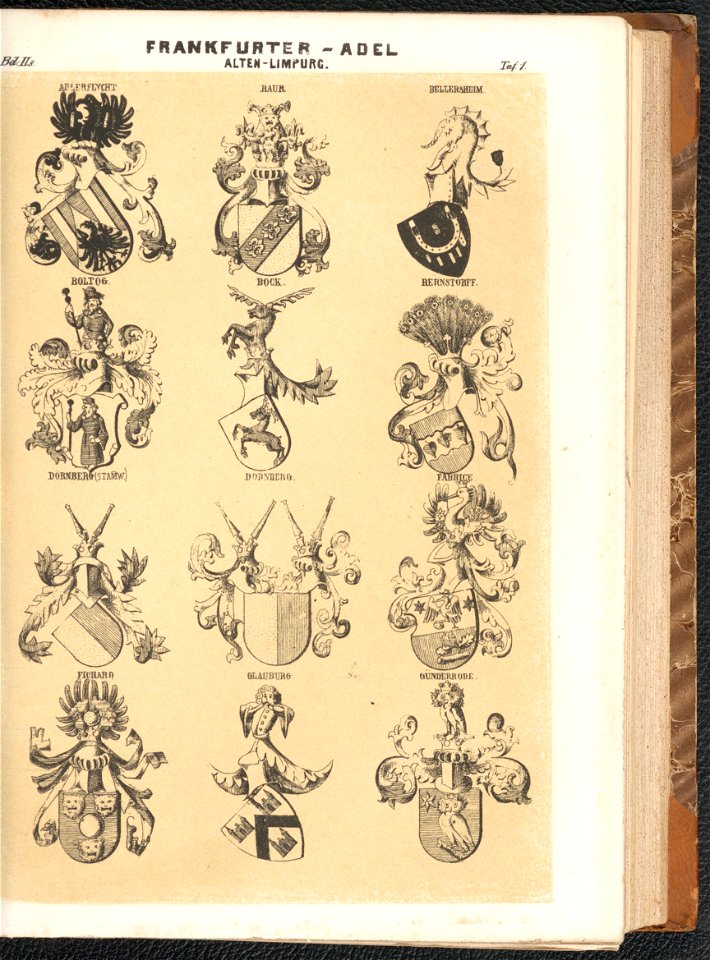 Grosses und allgemeines Wappenbuch Bd. 2 Abt. 8, Der Adel der fraien Stadt Frankfurt 1856 (125571027)