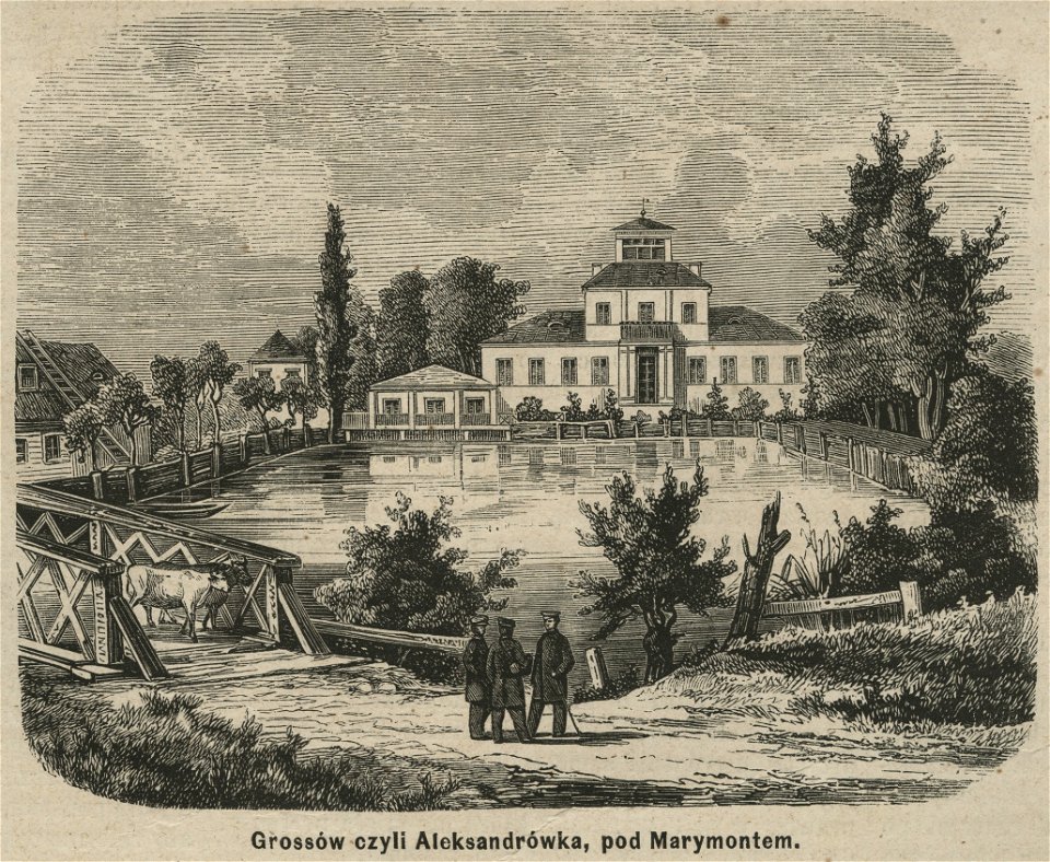 Grossów czyli Aleksandrówka, pod Marymontem (58290)