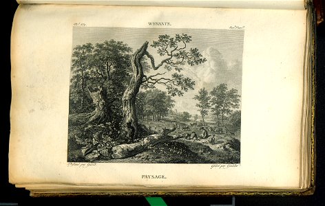Galerie du Musee Napoleon. T. 8 1812 (31079233)