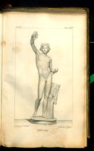 Galerie du Musee Napoleon. T. 8 1812 (31078842)
