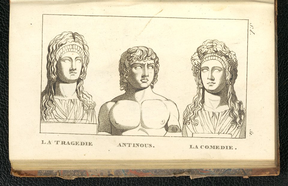 Galeries des antiques 1803 (134527189)