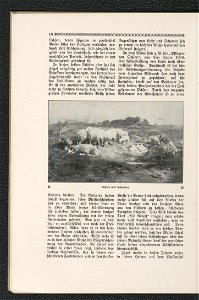 Heinrich v. Zugel 1911 (125255682)