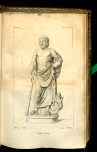 Galerie du Musee Napoleon. T. 7 (31006153)