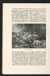 Heinrich v. Zugel 1911 (125255685)