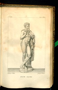 Galerie du Musee Napoleon. T. 7 (31006301)