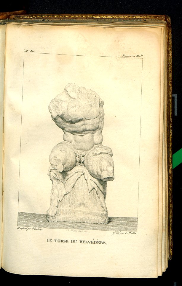 Galerie du Musee Napoleon. T. 9 1813 (31138729)