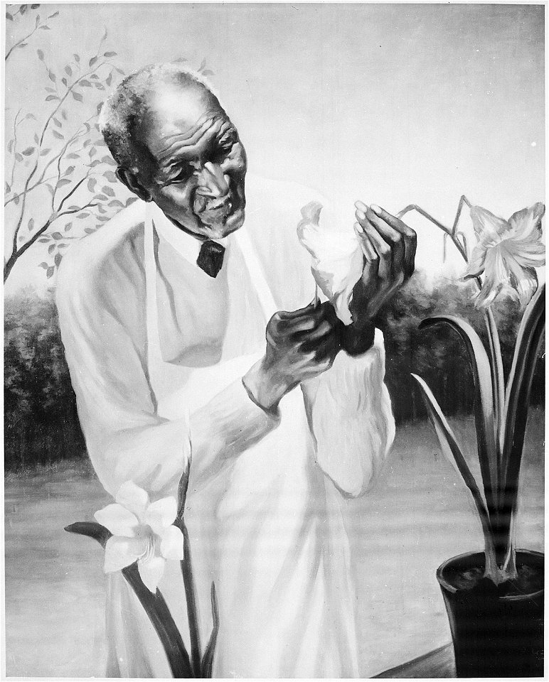 George W Carver - NARA - 559197
