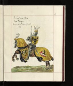 Herby Rzeczypospolitej Polskiej i W. X. Litewskiego. T. 1 1875-1900 (97743025)