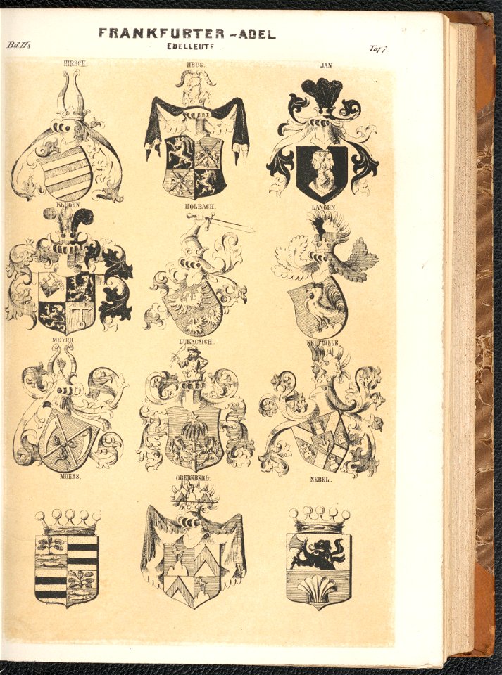 Grosses und allgemeines Wappenbuch Bd. 2 Abt. 8, Der Adel der fraien Stadt Frankfurt 1856 (125571056)