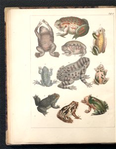 Galerya obrazowa zwierzat 1839 (105543286)