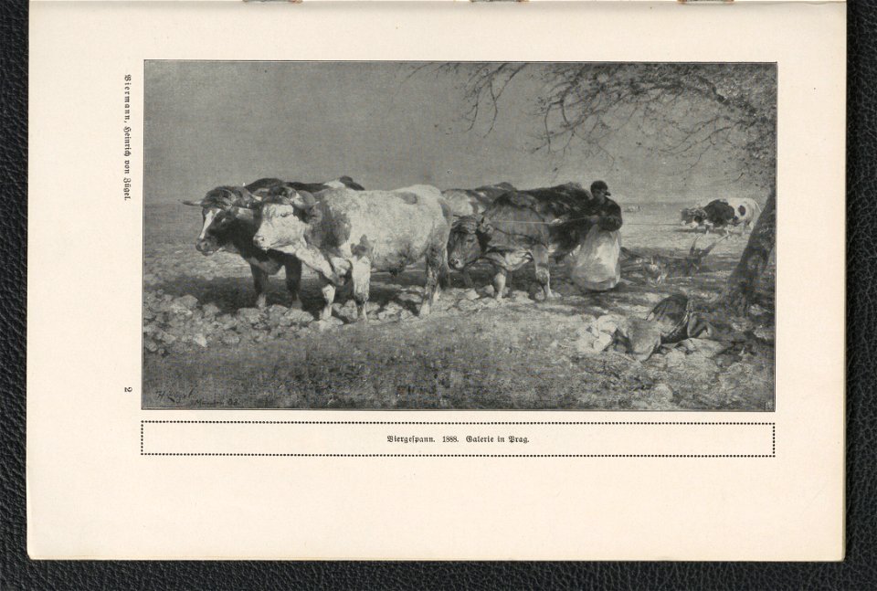 Heinrich v. Zugel 1911 (125255683)