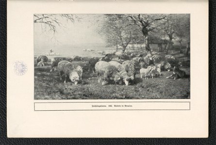 Heinrich v. Zugel 1911 (125255676)