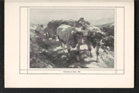 Heinrich v. Zugel 1911 (125255703)