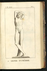 Galeries des antiques 1803 (134527027)