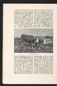 Heinrich v. Zugel 1911 (125255678)