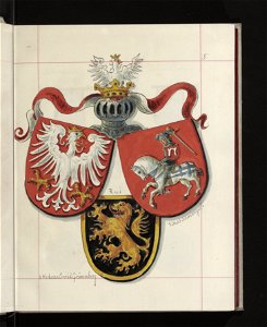 Herby Rzeczypospolitej Polskiej i W. X. Litewskiego. T. 1 1875-1900 (97742171)