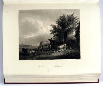 Galerya Drezdenska - zbior rycin T. 1-4 1850-1852 (274388)
