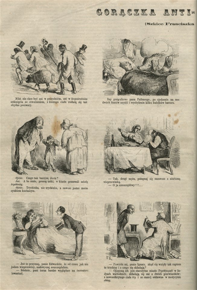 Gorączka antitrychinowa - (Szkice Franciszka Kostrzewskiego) (58109)