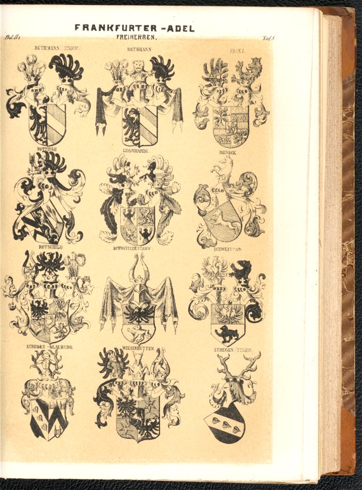 Grosses und allgemeines Wappenbuch Bd. 2 Abt. 8, Der Adel der fraien Stadt Frankfurt 1856 (125571047)