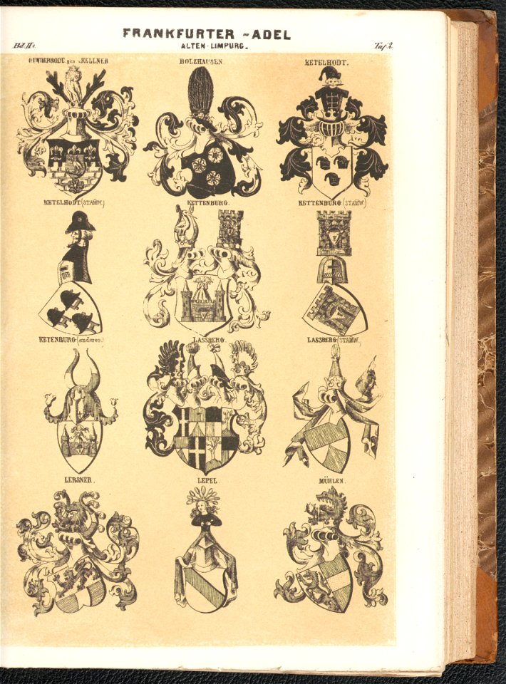 Grosses und allgemeines Wappenbuch Bd. 2 Abt. 8, Der Adel der fraien Stadt Frankfurt 1856 (125571034)
