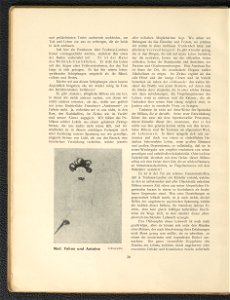 Henri de Toulouse-Lautrec 1904 (130536246)