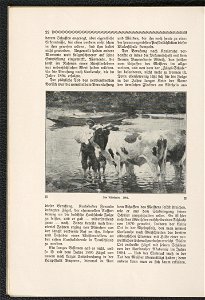 Heinrich v. Zugel 1911 (125280134)