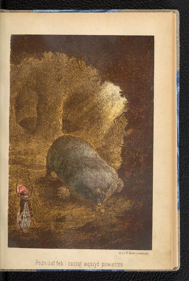 Gucio zaczarowany - powiesc dla mlodszych dzieci 1889 (91334847)