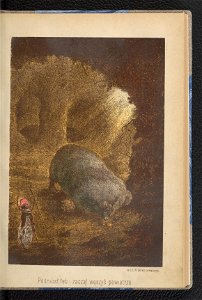 Gucio zaczarowany - powiesc dla mlodszych dzieci 1889 (91334847)