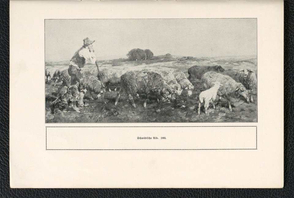 Heinrich v. Zugel 1911 (125255672)